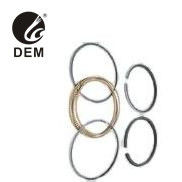 Renault OD-RE10 için 810.01-10 R10 R5LS R5TS R5GTL R12TL Piston Halkaları Yağ Halkaları